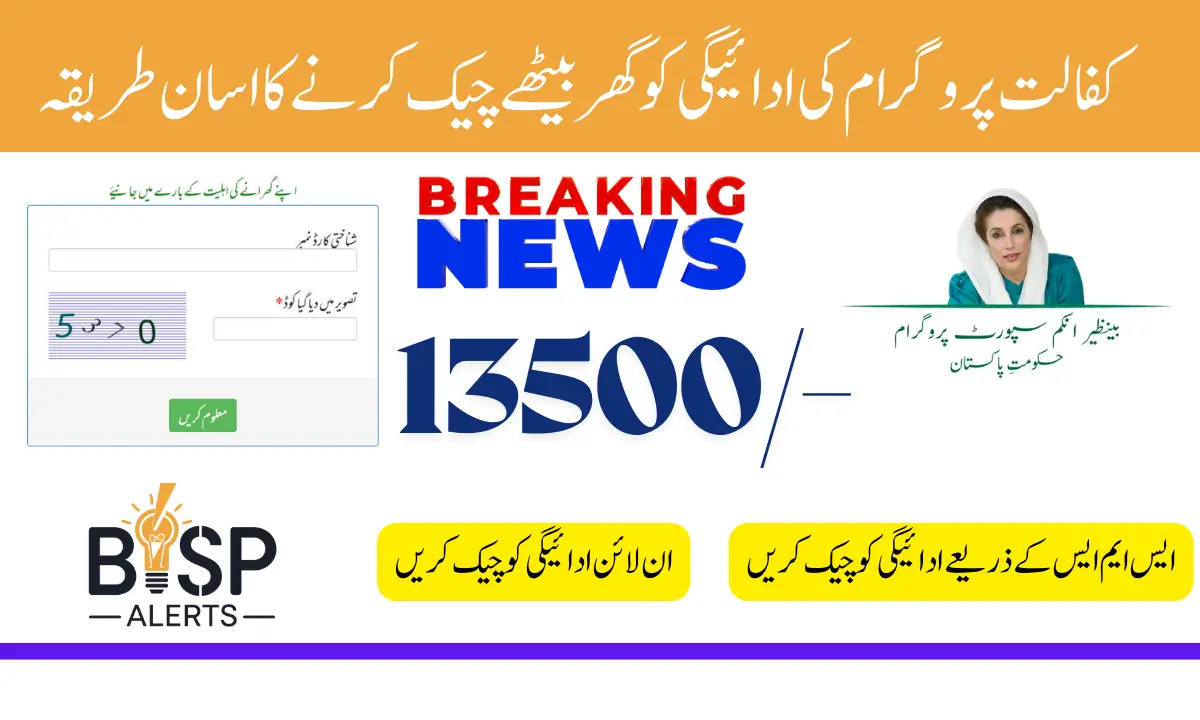 Benazir Kafaalat Payment Check Through 8171 Web Portal With Updated Date 2026 Breaking News