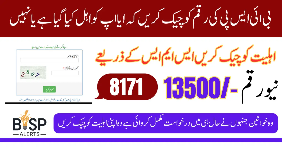 BISP 8171 Check Balance Online Using 2 Easy Method In April 2025 Latest Update