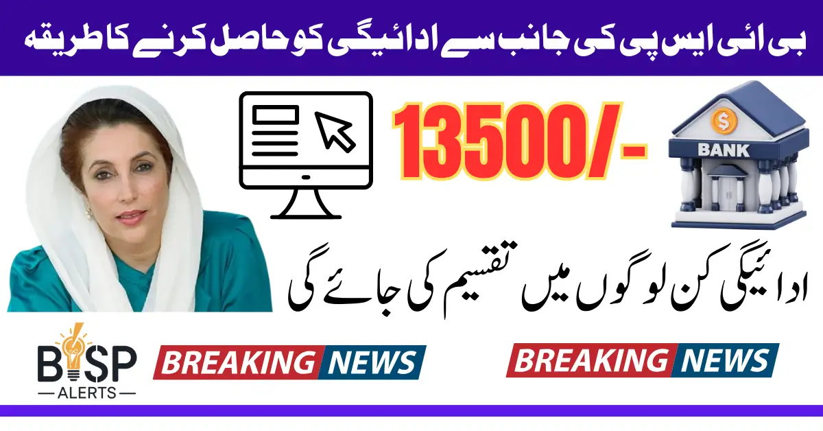 BISP Payment 13500 Check Status Online Receiving Process 2025