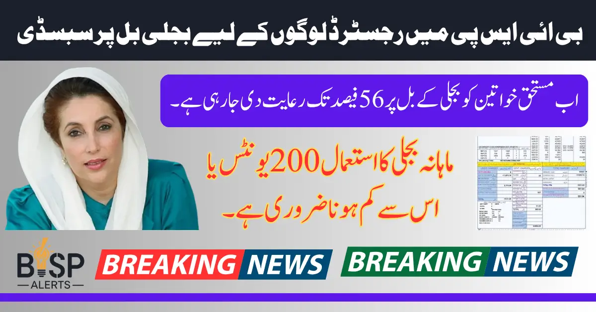 BISP Electricity Subsidy 2025 For Complete Survey Women Know Details Step By Step