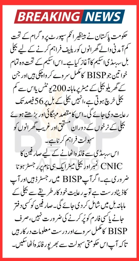 BISP Electricity Subsidy 2025 For Complete Survey Women Know Details Step By Step